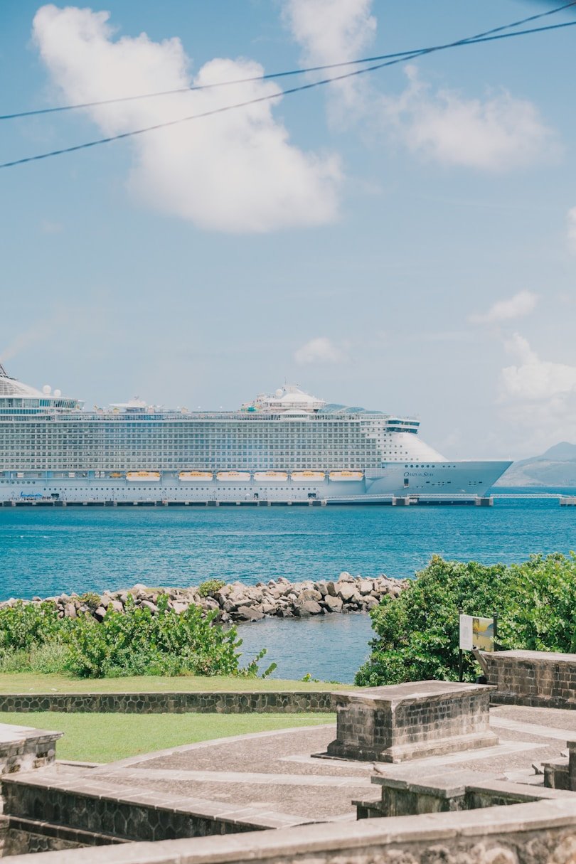 Public Benefit Option (PBO)